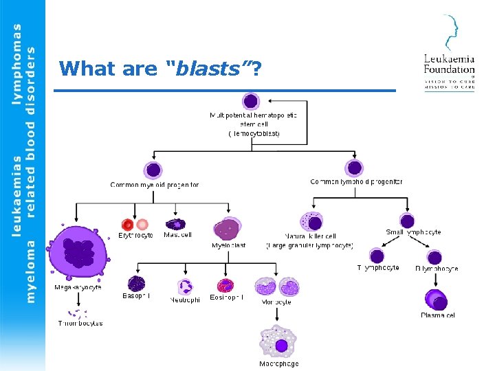 What are “blasts”? 