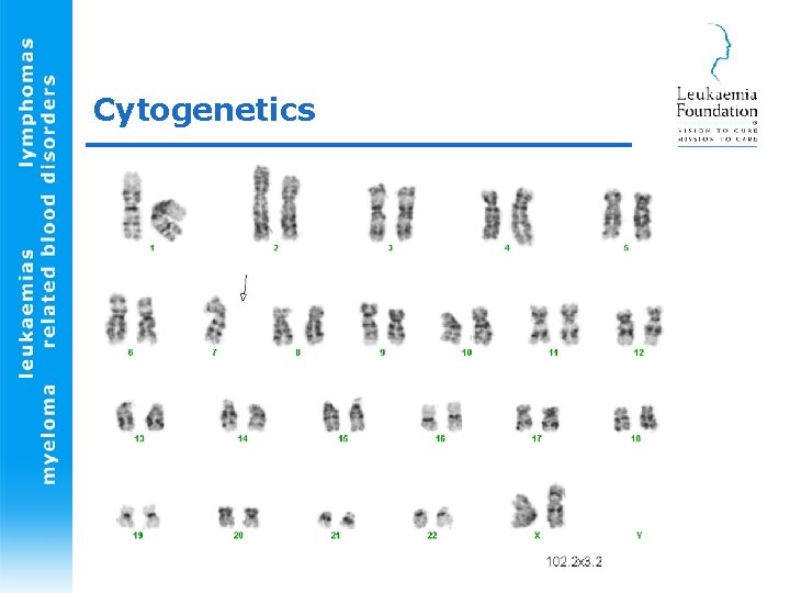 Cytogenetics 