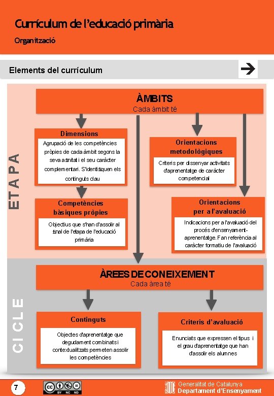 Currículum de l’educació primària Organització Elements del currículum ÀMBITS Cada àmbit té Dimensions ET