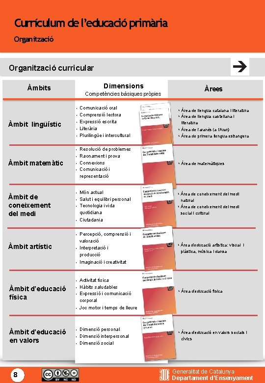 Currículum de l’educació primària Organització curricular Dimensions Àmbits • • Àmbit lingüístic • •