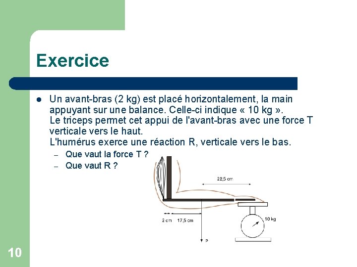 Exercice l Un avant-bras (2 kg) est placé horizontalement, la main appuyant sur une