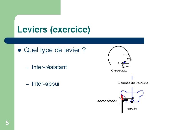 Leviers (exercice) l 5 Quel type de levier ? – Inter-résistant – Inter-appui 