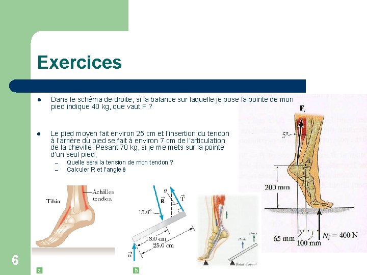 Exercices l Dans le schéma de droite, si la balance sur laquelle je pose