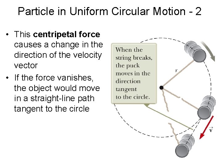 Particle in Uniform Circular Motion - 2 • This centripetal force causes a change