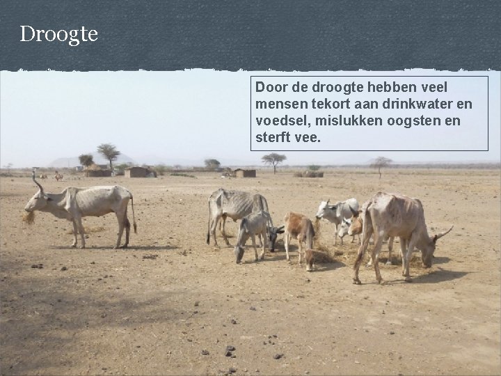 Droogte Door de droogte hebben veel mensen tekort aan drinkwater en voedsel, mislukken oogsten