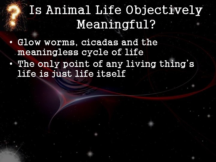 Is Animal Life Objectively Meaningful? • Glow worms, cicadas and the meaningless cycle of