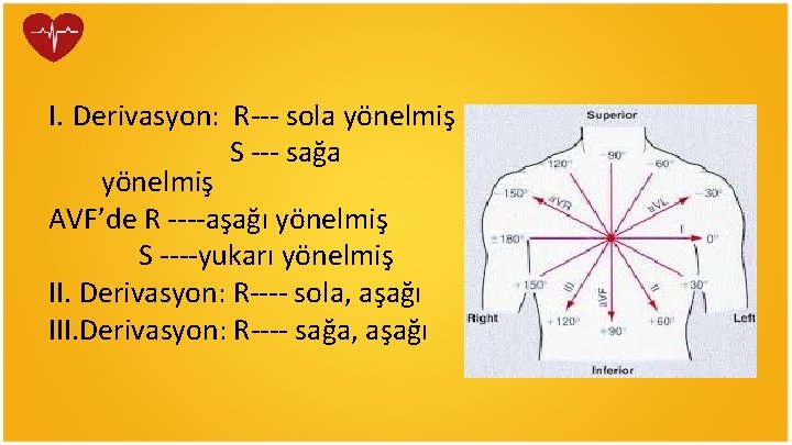 I. Derivasyon: R--- sola yönelmiş S --- sağa yönelmiş AVF’de R ----aşağı yönelmiş S