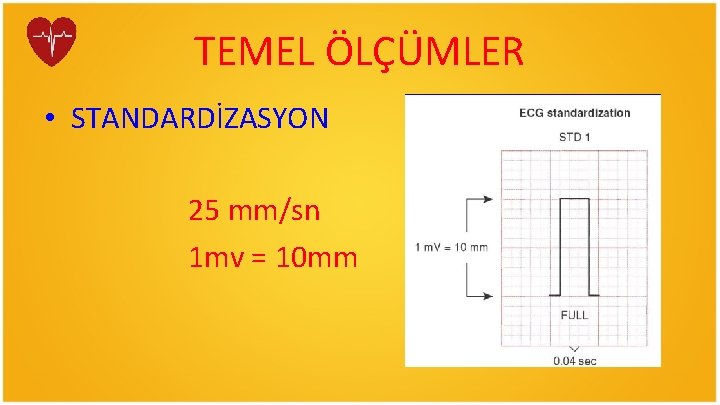 TEMEL ÖLÇÜMLER • STANDARDİZASYON 25 mm/sn 1 mv = 10 mm 