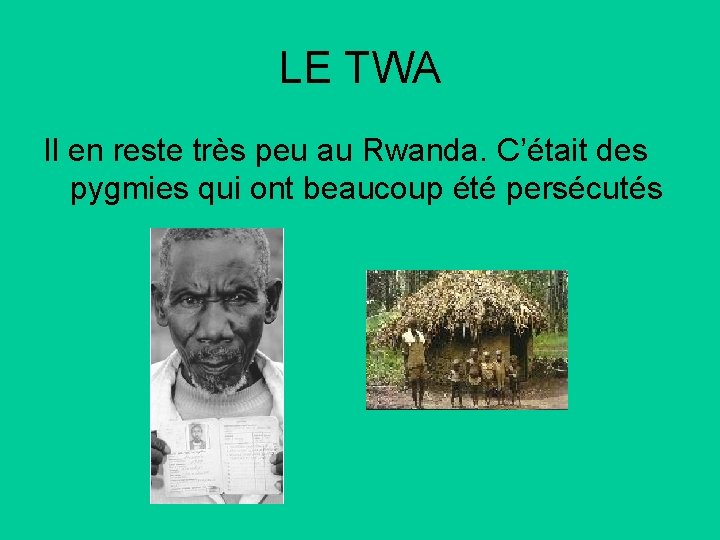 LE TWA Il en reste très peu au Rwanda. C’était des pygmies qui ont