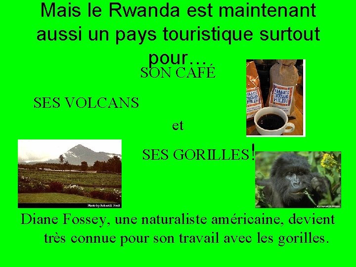 Mais le Rwanda est maintenant aussi un pays touristique surtout pour… SON CAFÉ SES