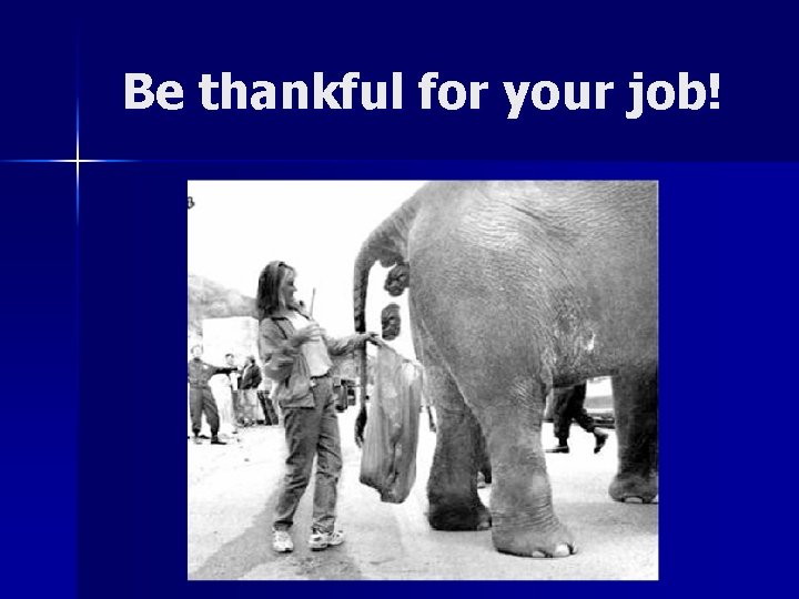 Be thankful for your job! 