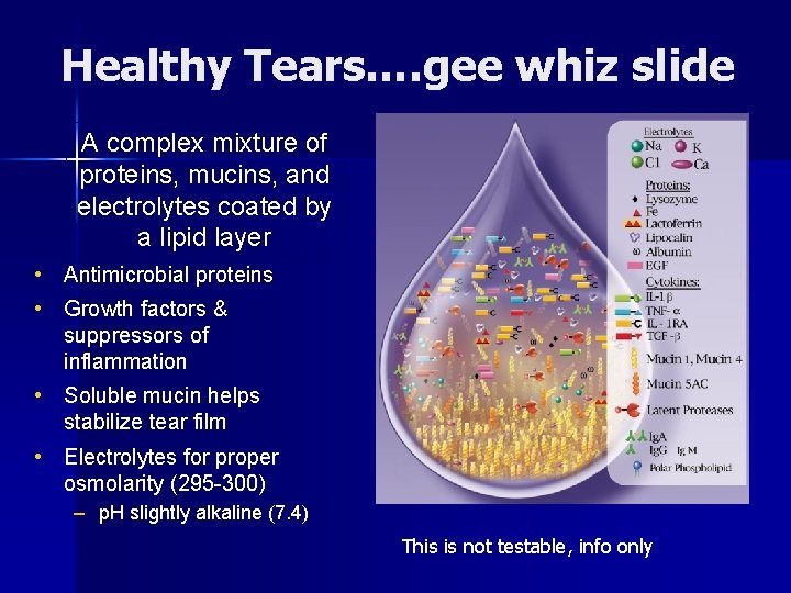 Healthy Tears…. gee whiz slide A complex mixture of proteins, mucins, and electrolytes coated