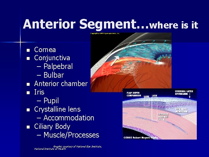 Anterior Segment…where is it n n n Cornea Conjunctiva – Palpebral – Bulbar Anterior