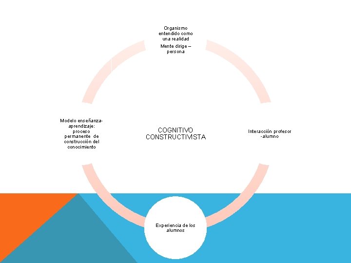 Organismo entendido como una realidad Mente dirige – persona Modelo enseñanzaaprendizaje: proceso permanente de