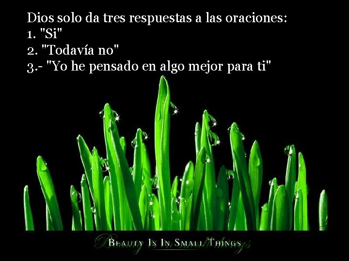 Dios solo da tres respuestas a las oraciones: 1. "Si" 2. "Todavía no" 3.