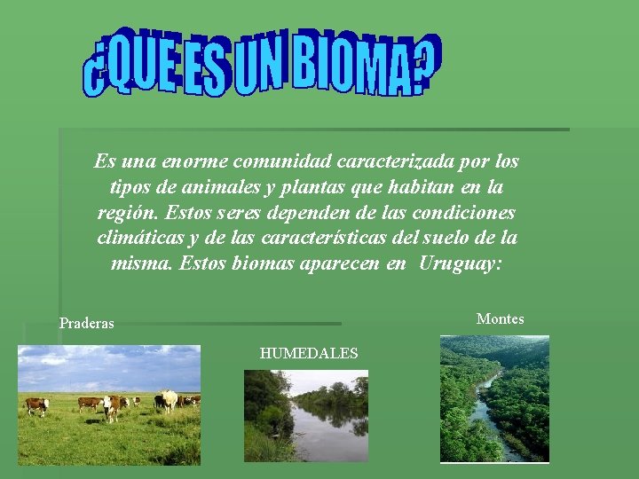 Es una enorme comunidad caracterizada por los tipos de animales y plantas que habitan Es una enorme comunidad caracterizada por los tipos de animales y plantas que habitan