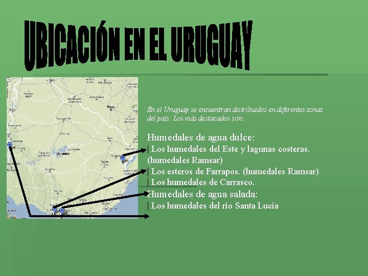 En el Uruguay se encuentran distribuidos en diferentes zonas del país. Los más destacados En el Uruguay se encuentran distribuidos en diferentes zonas del país. Los más destacados