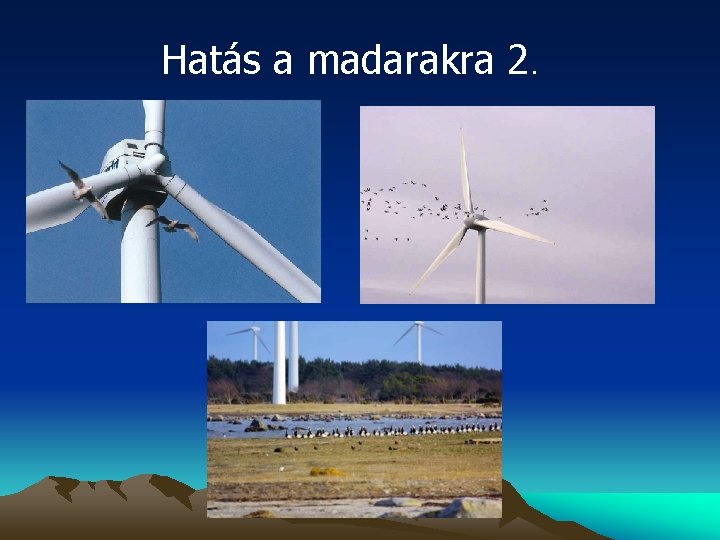 Hatás a madarakra 2. 