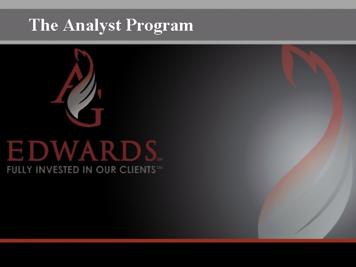 The Analyst Program 