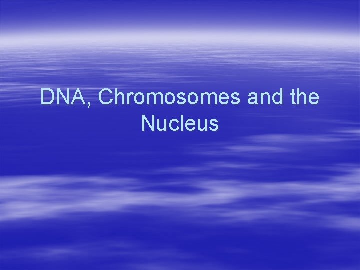 DNA, Chromosomes and the Nucleus 