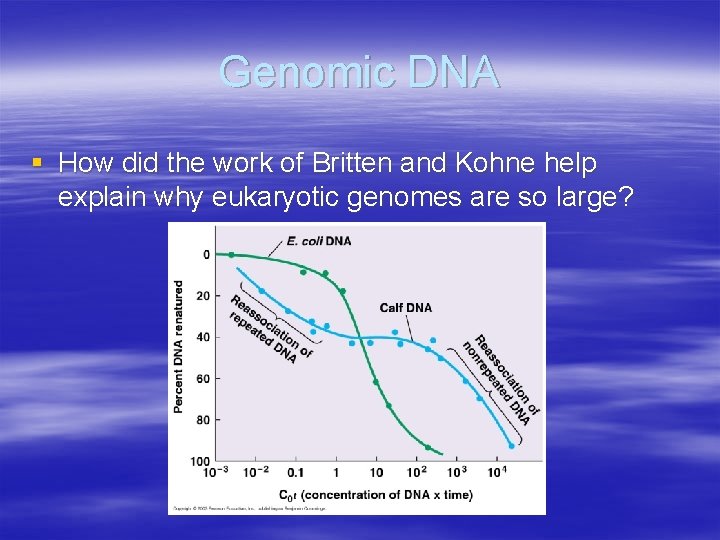 Genomic DNA § How did the work of Britten and Kohne help explain why