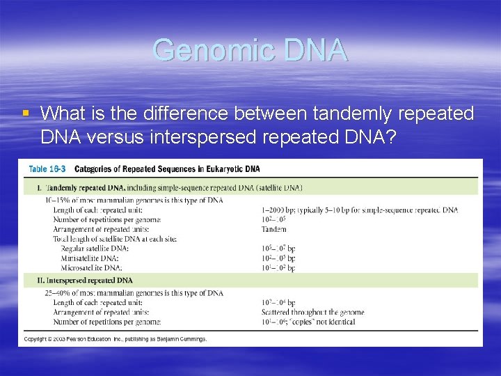 Genomic DNA § What is the difference between tandemly repeated DNA versus interspersed repeated