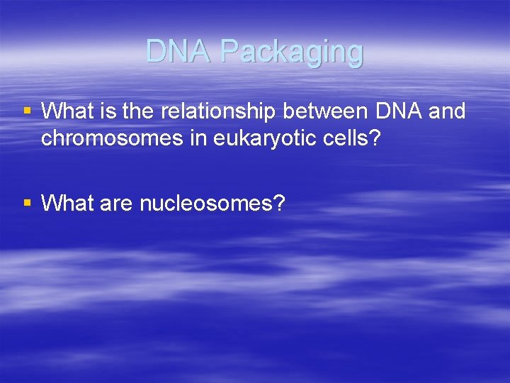 DNA Packaging § What is the relationship between DNA and chromosomes in eukaryotic cells?