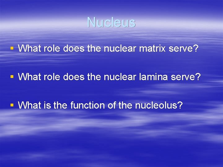 Nucleus § What role does the nuclear matrix serve? § What role does the
