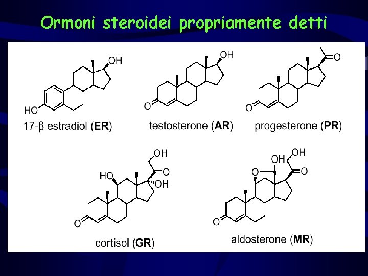 Ormoni steroidei propriamente detti 