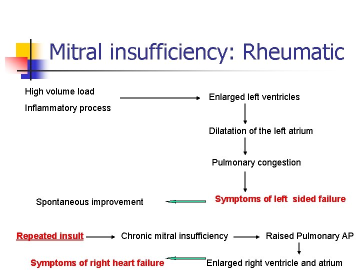 Mitral insufficiency: Rheumatic High volume load Enlarged left ventricles Inflammatory process Dilatation of the