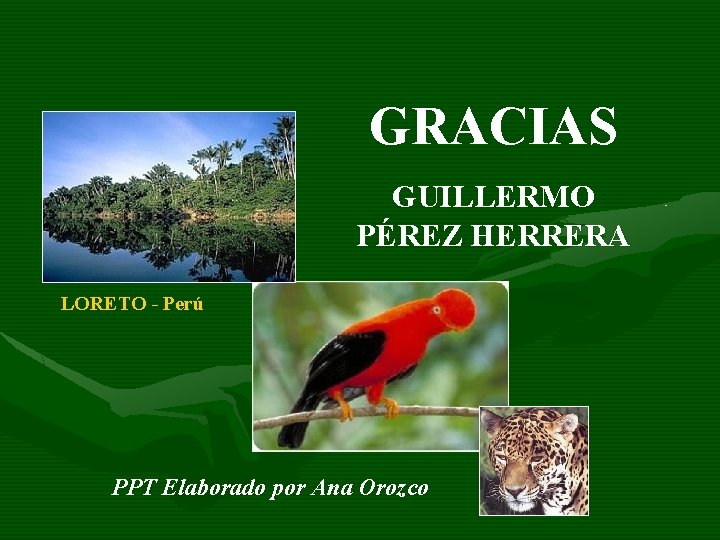 GRACIAS GUILLERMO PÉREZ HERRERA LORETO - Perú PPT Elaborado por Ana Orozco GRACIAS GUILLERMO PÉREZ HERRERA LORETO - Perú PPT Elaborado por Ana Orozco