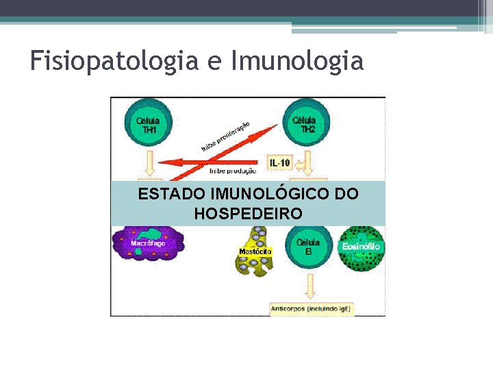 Fisiopatologia e Imunologia ESTADO IMUNOLÓGICO DO HOSPEDEIRO 