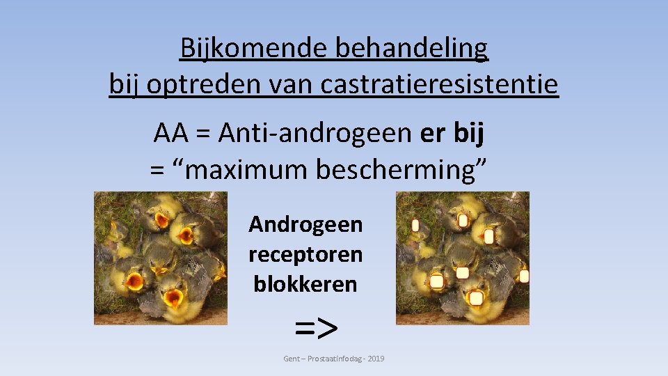 Bijkomende behandeling bij optreden van castratieresistentie AA = Anti-androgeen er bij = “maximum bescherming”