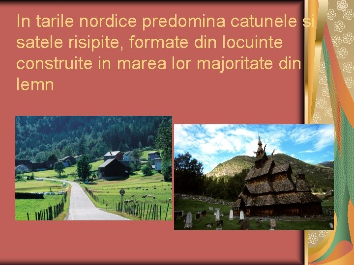 In tarile nordice predomina catunele si satele risipite, formate din locuinte construite in marea