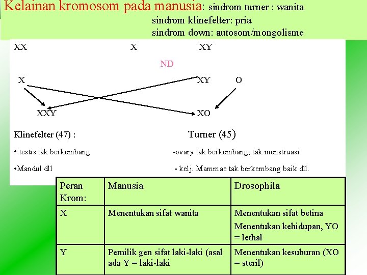 Kelainan kromosom pada manusia: sindrom turner : wanita sindrom klinefelter: pria sindrom down: autosom/mongolisme