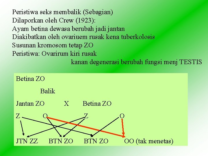 Peristiwa seks membalik (Sebagian) Dilaporkan oleh Crew (1923): Ayam betina dewasa berubah jadi jantan