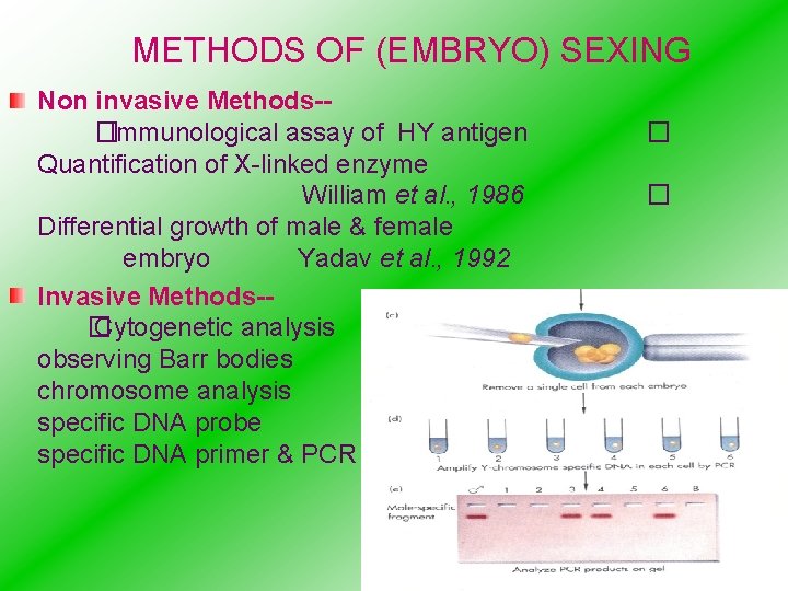 METHODS OF (EMBRYO) SEXING Non invasive Methods-�Immunological assay of HY antigen Quantification of X-linked