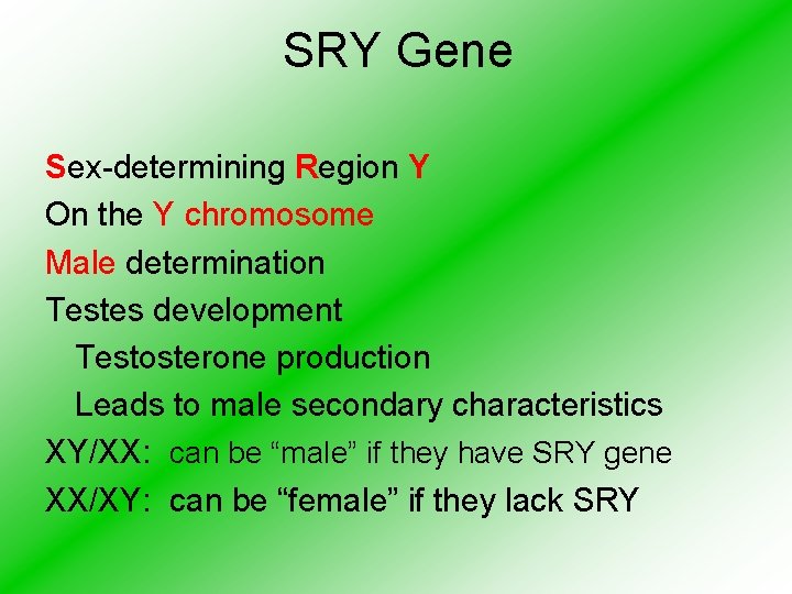 SRY Gene Sex-determining Region Y On the Y chromosome Male determination Testes development Testosterone