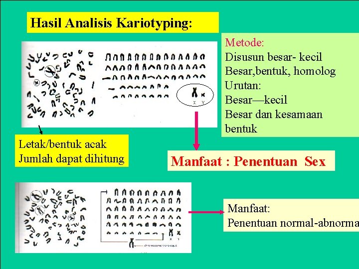 Hasil Analisis Kariotyping: Metode: Disusun besar- kecil Besar, bentuk, homolog Urutan: Besar—kecil Besar dan