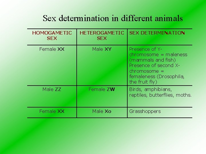 Sex determination in different animals HOMOGAMETIC SEX HETEROGAMETIC SEX DETERMINATION Female XX Male XY