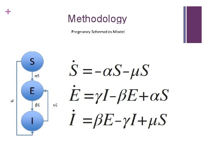 + Methodology 