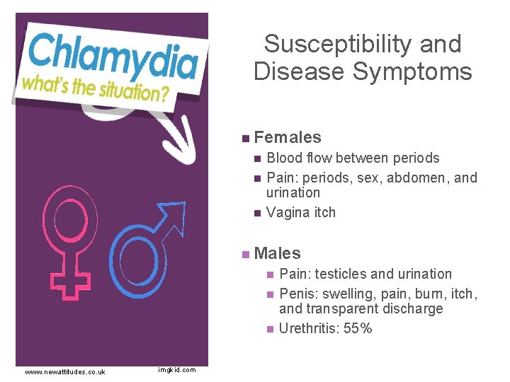 + Susceptibility and Disease Symptoms n Females n n n Blood flow between periods