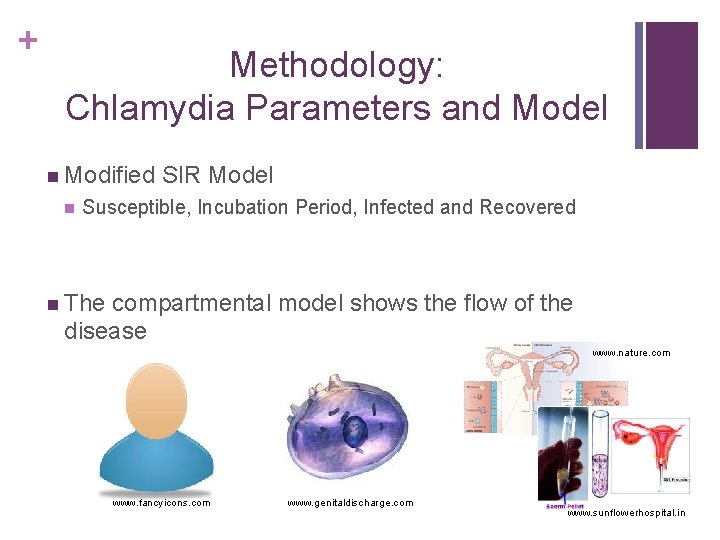 + Methodology: Chlamydia Parameters and Model n Modified n SIR Model Susceptible, Incubation Period,