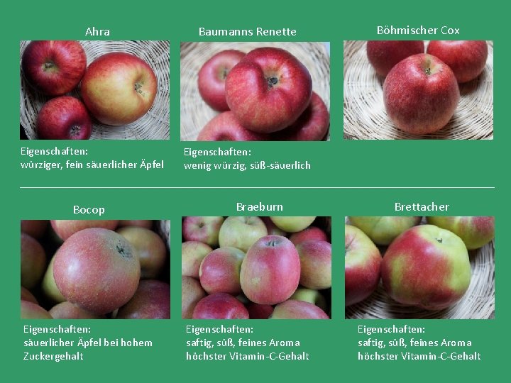 Ahra Eigenschaften: würziger, fein säuerlicher Äpfel Bocop Eigenschaften: säuerlicher Äpfel bei hohem Zuckergehalt Baumanns