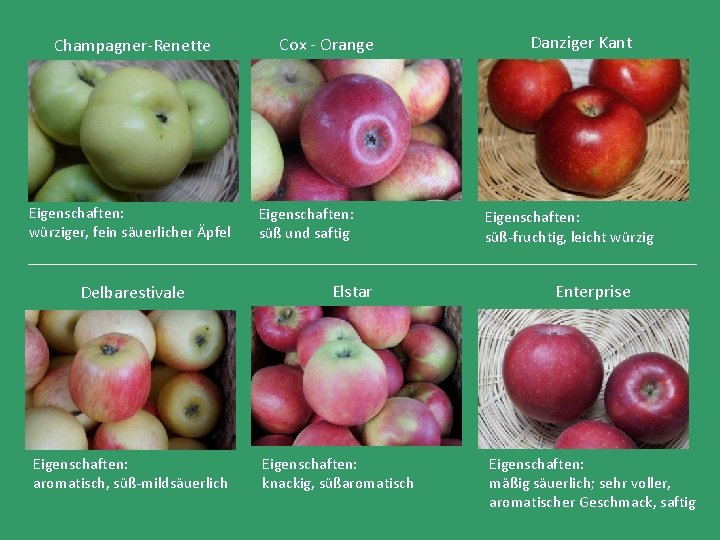 Champagner-Renette Eigenschaften: würziger, fein säuerlicher Äpfel Delbarestivale Eigenschaften: aromatisch, süß-mildsäuerlich Cox - Orange Eigenschaften: