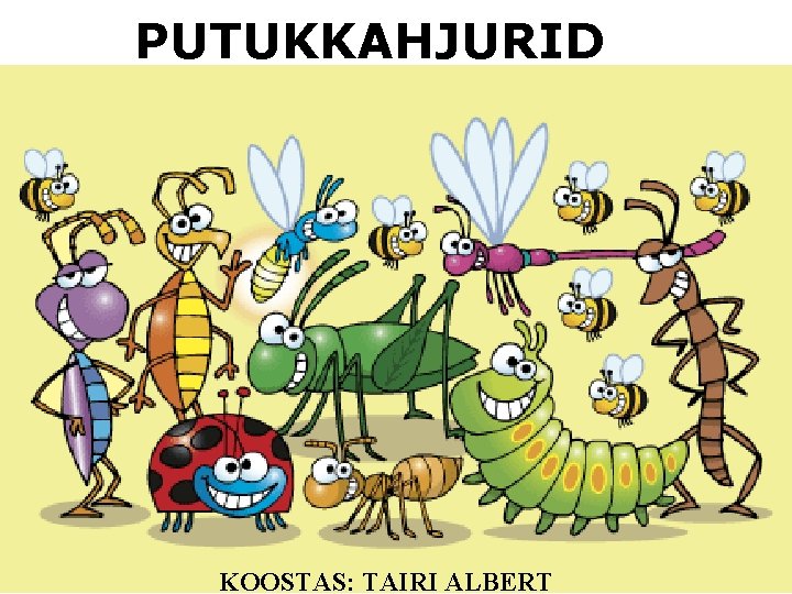 PUTUKKAHJURID KOOSTAS: TAIRI ALBERT 