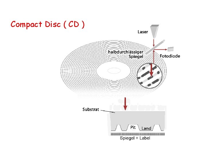 Compact Disc ( CD ) 