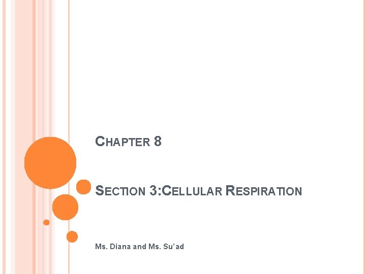 CHAPTER 8 SECTION 3 CELLULAR RESPIRATION Ms Diana
