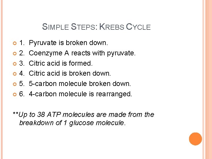 SIMPLE STEPS: KREBS CYCLE 1. 2. 3. 4. 5. 6. Pyruvate is broken down. SIMPLE STEPS: KREBS CYCLE 1. 2. 3. 4. 5. 6. Pyruvate is broken down.