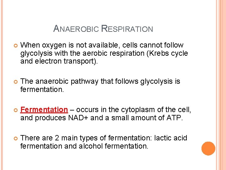 ANAEROBIC RESPIRATION When oxygen is not available, cells cannot follow glycolysis with the aerobic ANAEROBIC RESPIRATION When oxygen is not available, cells cannot follow glycolysis with the aerobic